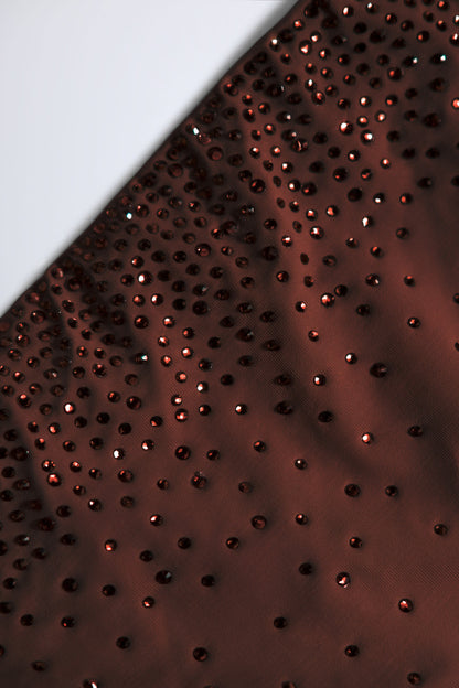 Embellished Cut-Out Swimsuit in Chocolate Brown