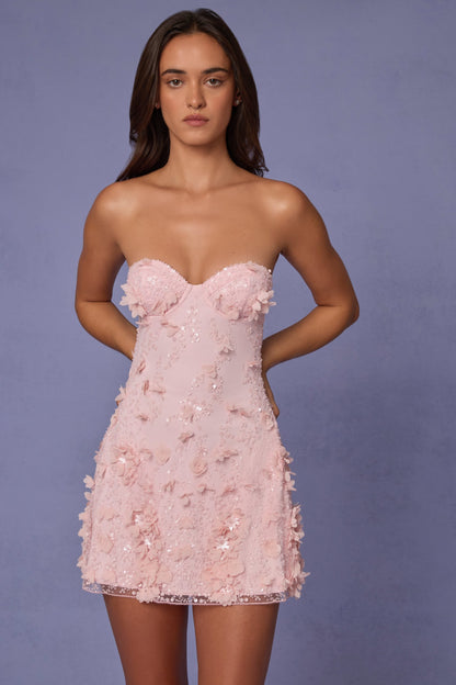 Embellished Bandeau A-line Mini Dress in Soft Pink