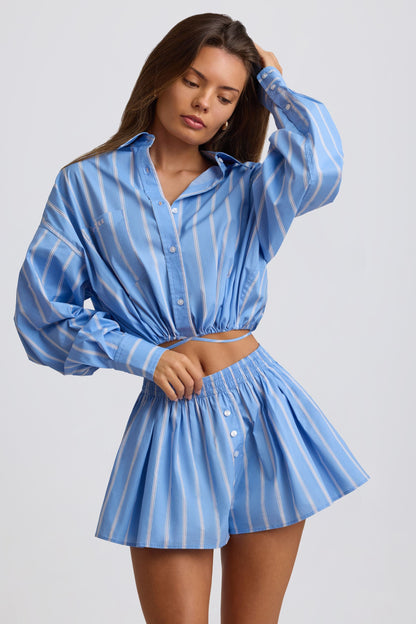 Pleated Cotton-Poplin Shorts in Blue Stripe