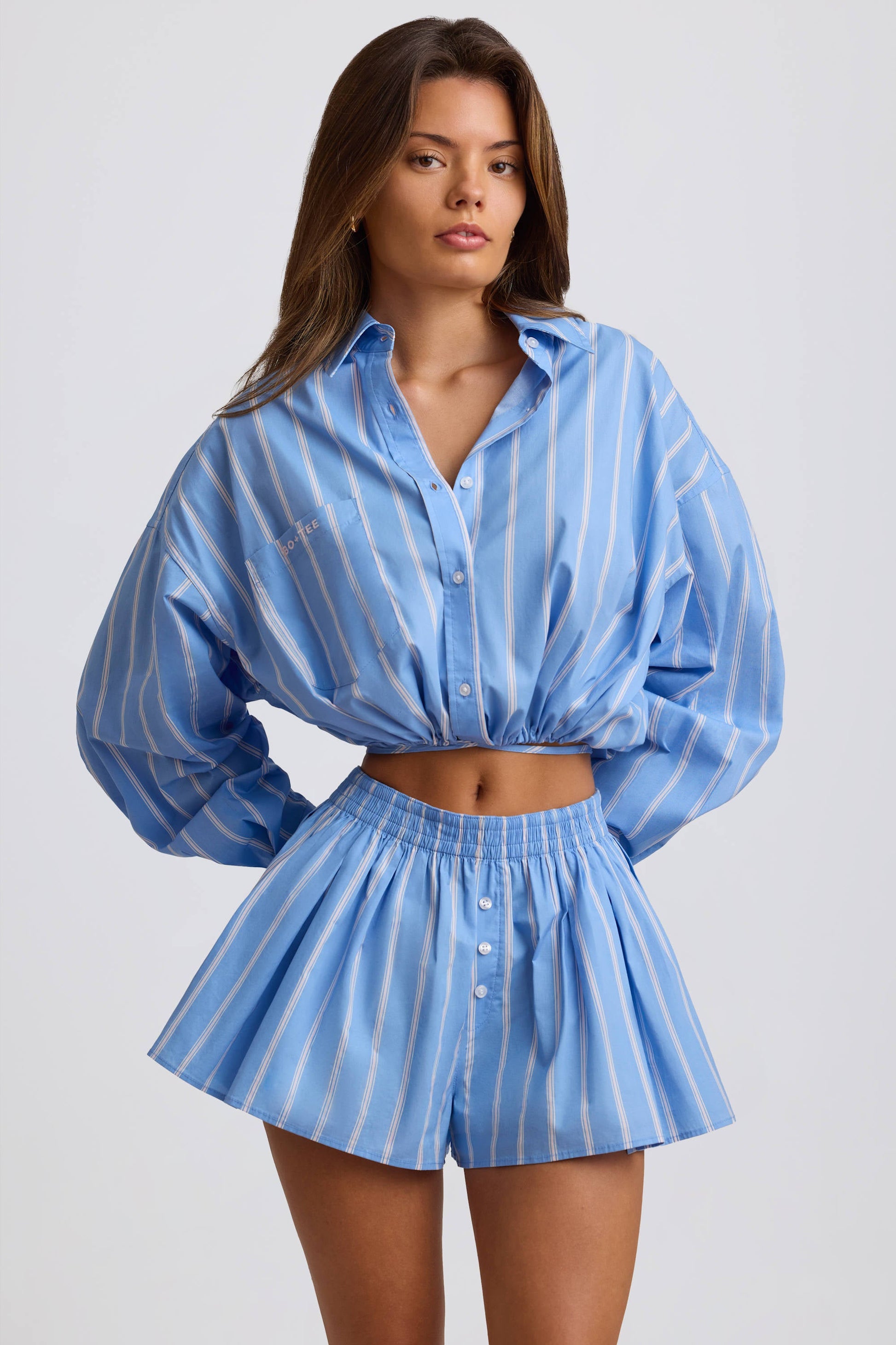 Pleated Cotton-Poplin Shorts in Blue Stripe